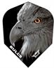 BULLS Powerflite -Eagle-
