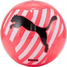 Puma puma big cat ball